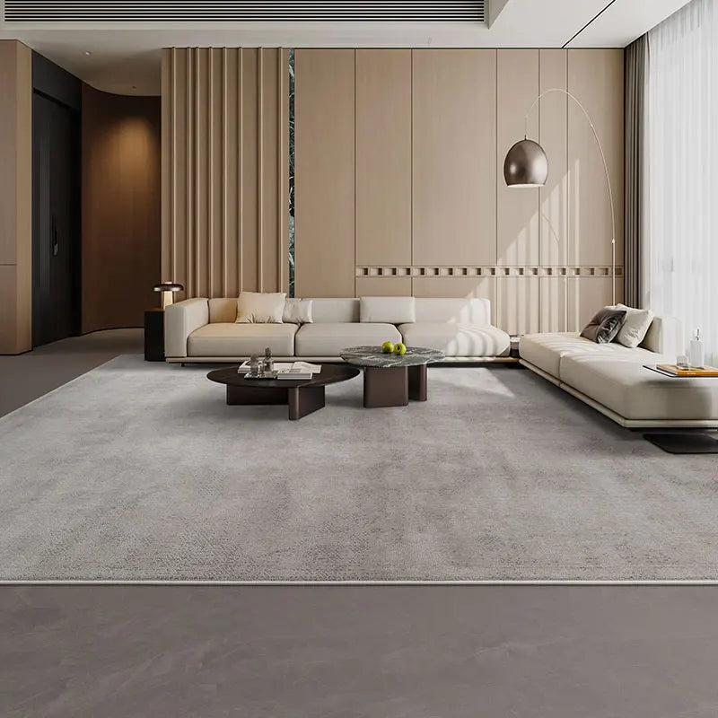 Modern Minimalist Grey Plush Washable Area Rug