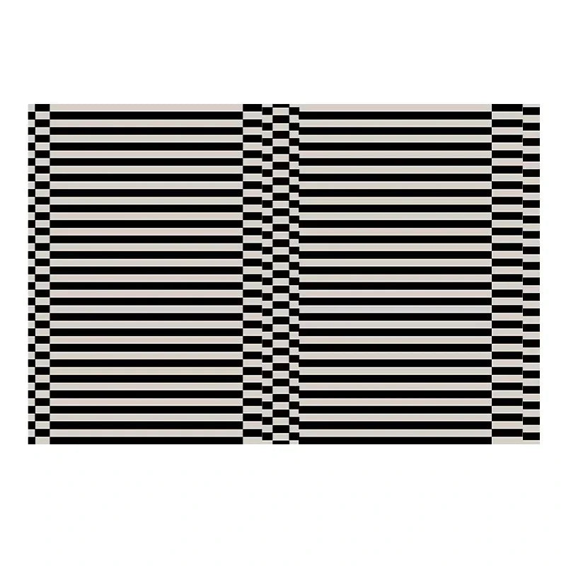 Classic Black & White Striped Plush Area Rug