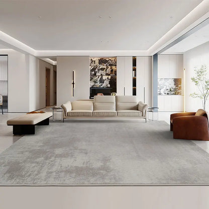 Modern Minimalist Grey Plush Washable Area Rug