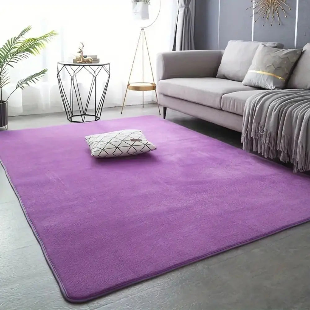 VIKAMA Modern Minimalist Coral Fleece Area Rug