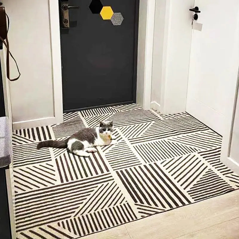 PVC washable anti-dirt cartoon door mat
