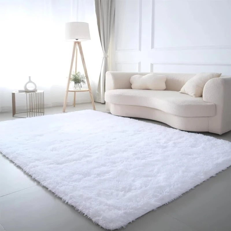 Large fluffy plush living room carpet
