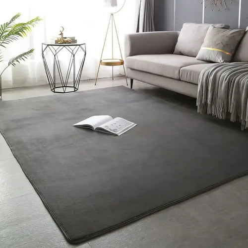 VIKAMA Modern Minimalist Coral Fleece Area Rug