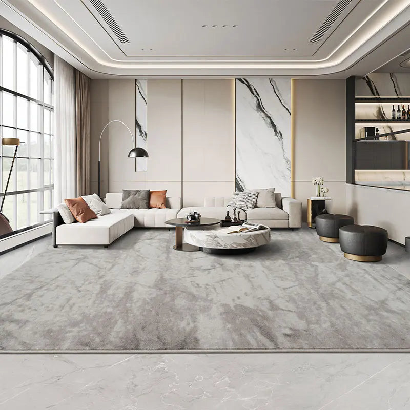 Modern Minimalist Grey Plush Washable Area Rug