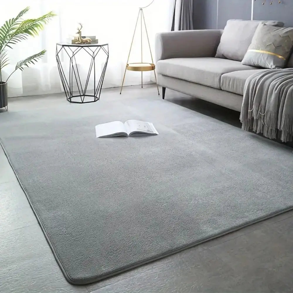 VIKAMA Modern Minimalist Coral Fleece Area Rug