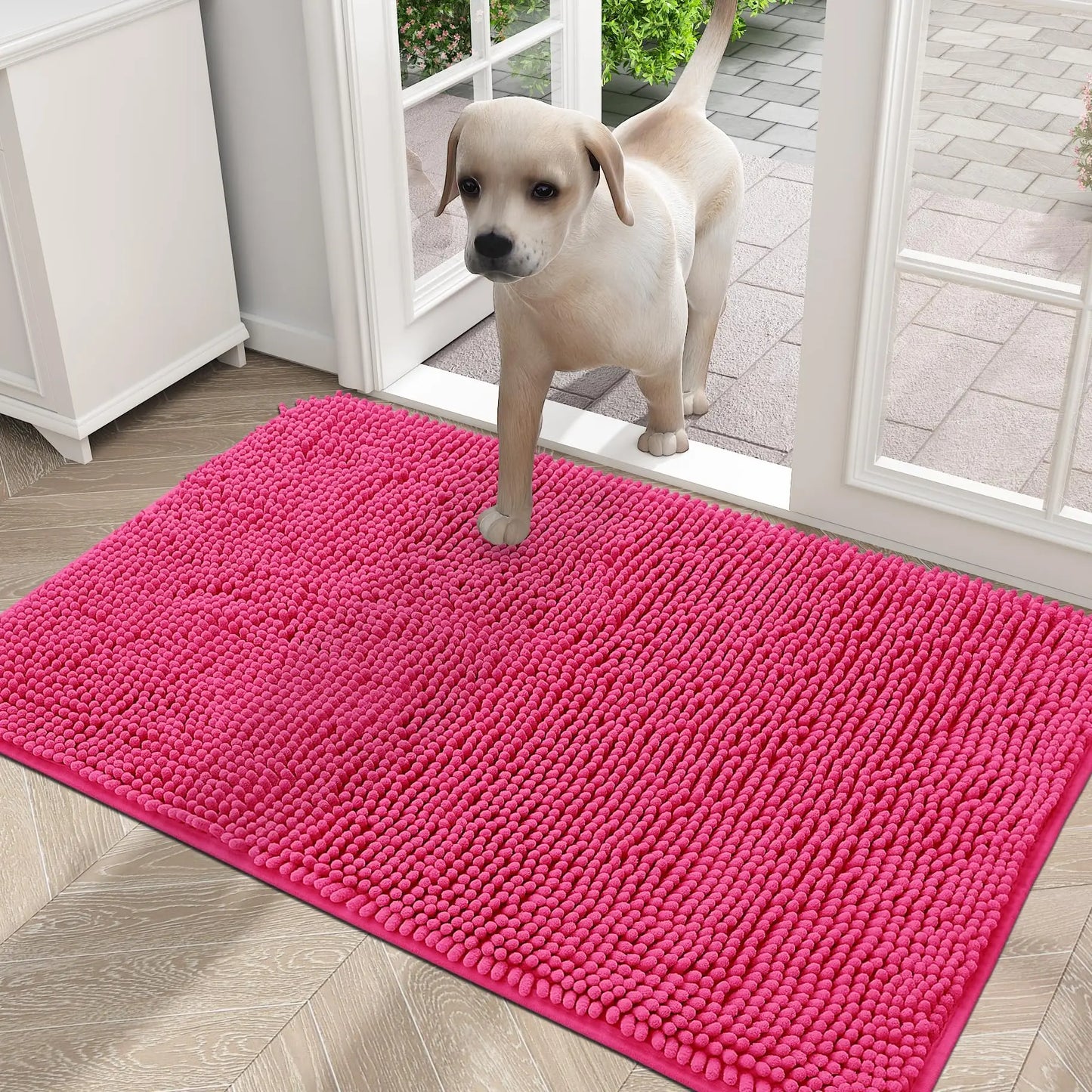 Olanly Dog Mud Absorbent Non-Slip Doormat