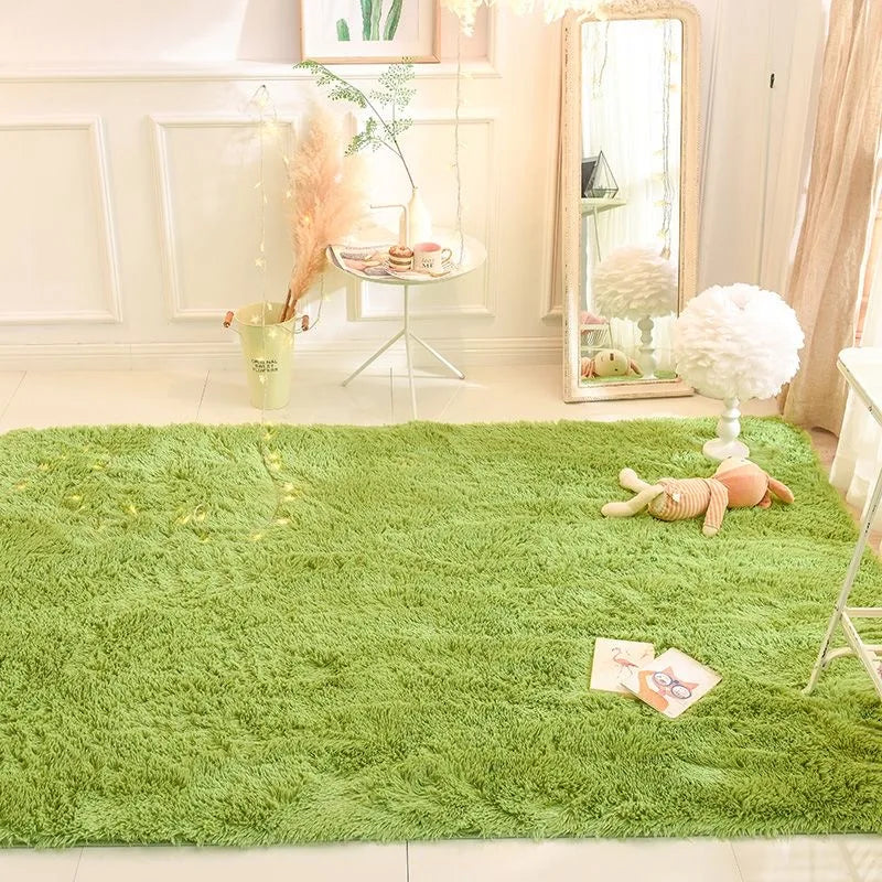 Fluffy Plush Sofa & Coffee Table Area Rug