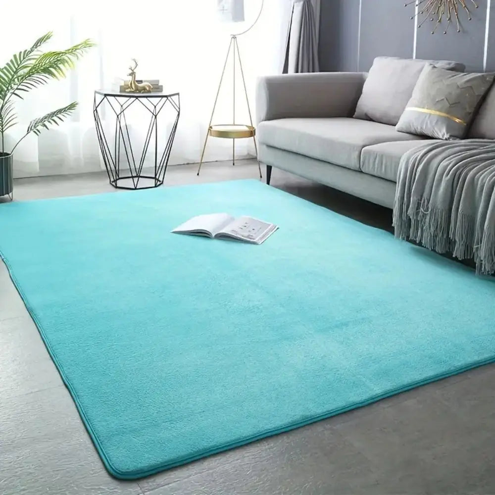 VIKAMA Modern Minimalist Coral Fleece Area Rug