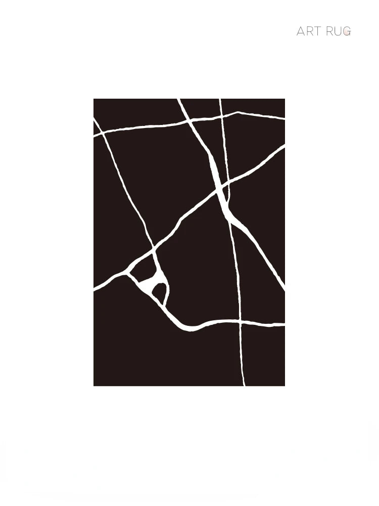Modern Luxury Black & White Plush Washable Area Rug