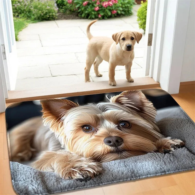 VIKAMA Cute Animal Welcome Non-Slip Doormat