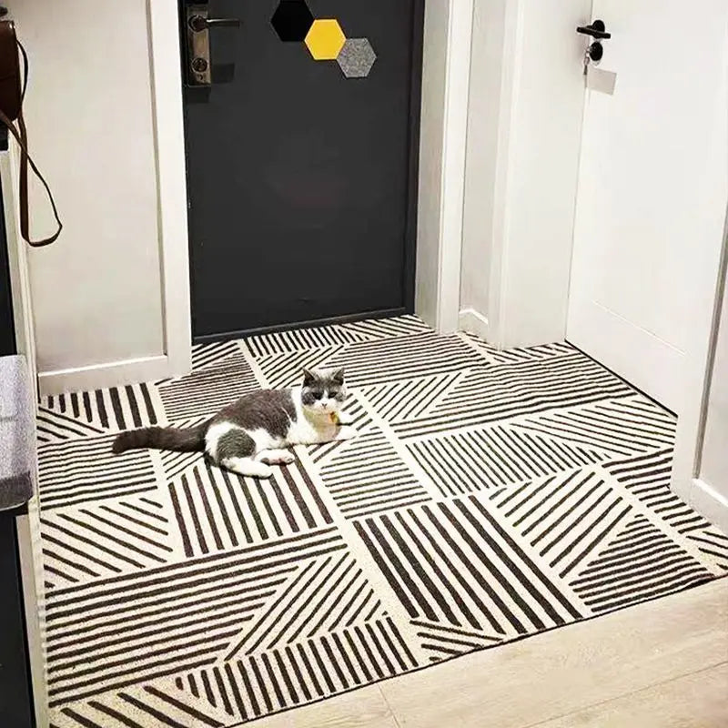 PVC washable anti-dirt cartoon door mat