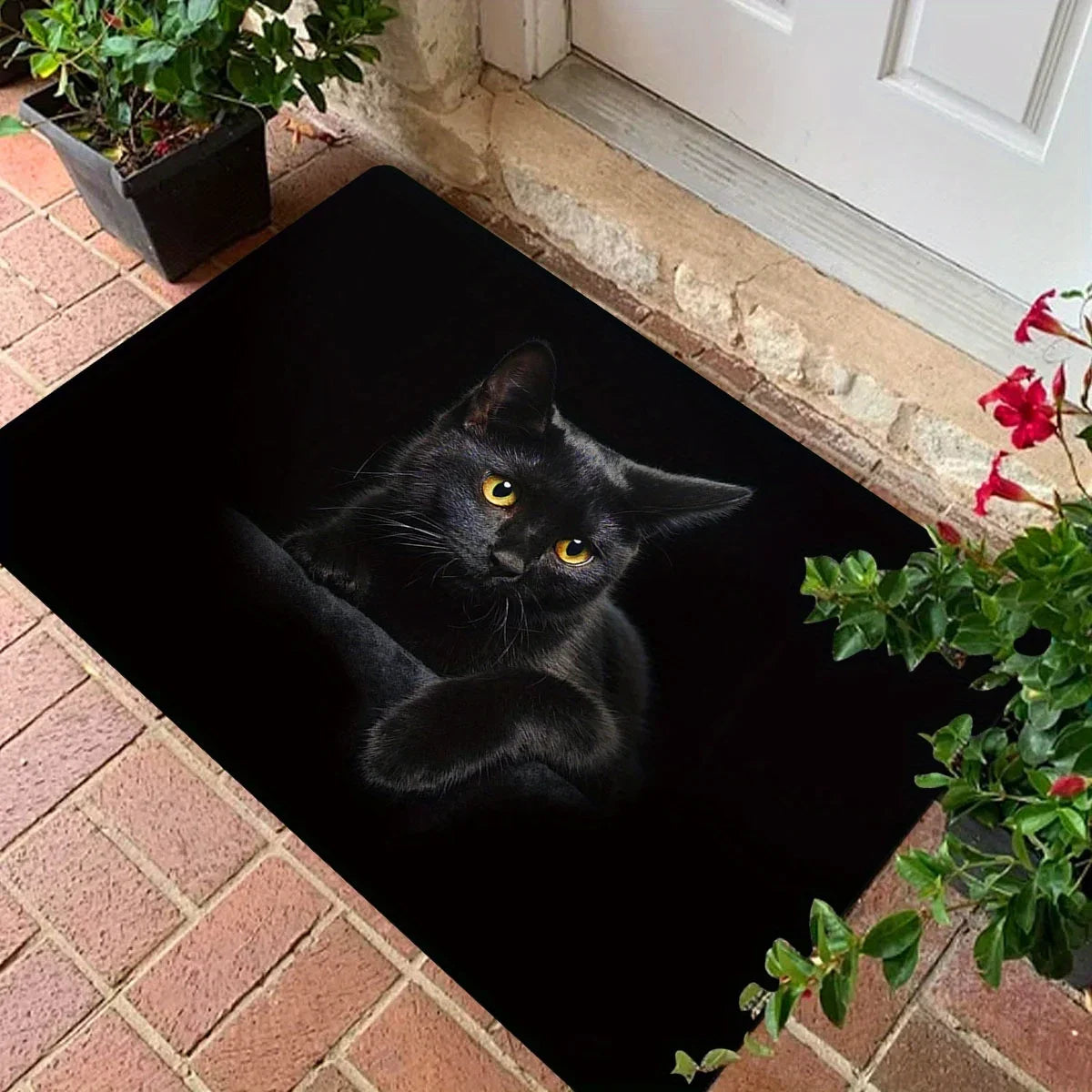 Black Cat Non-Slip Door Mat