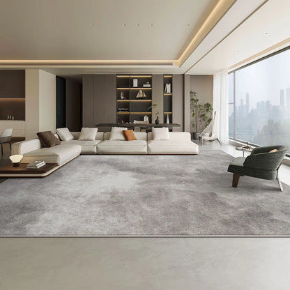 Modern Minimalist Grey Plush Washable Area Rug