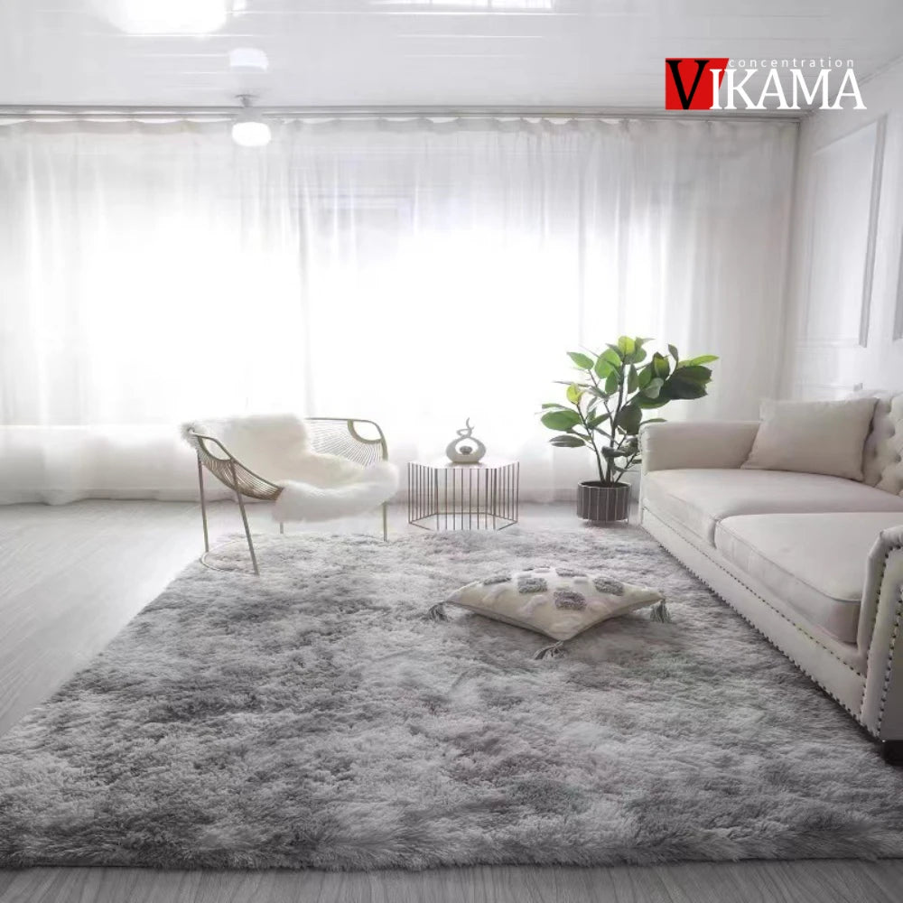 Large fluffy plush living room carpet