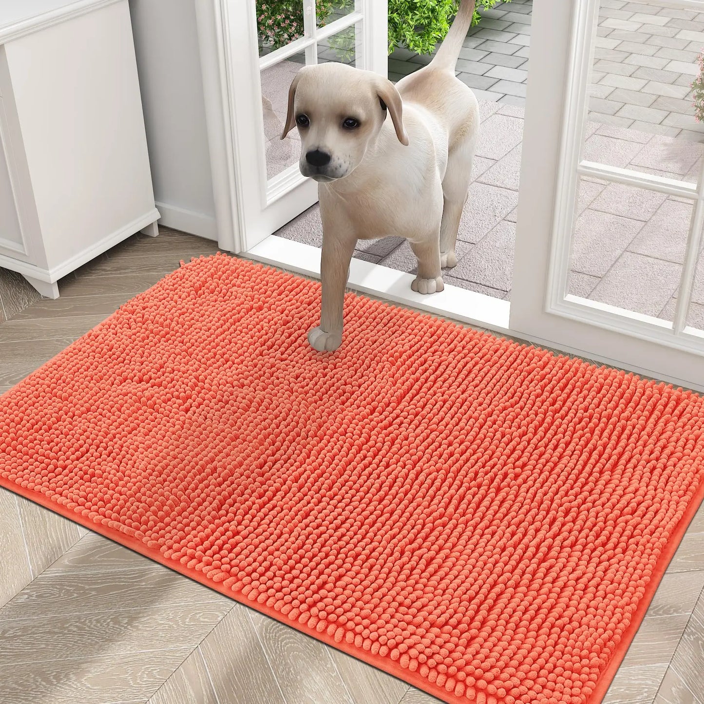 Olanly Dog Mud Absorbent Non-Slip Doormat