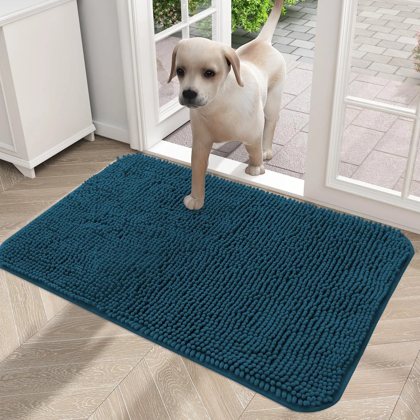Olanly Dog Mud Absorbent Non-Slip Doormat