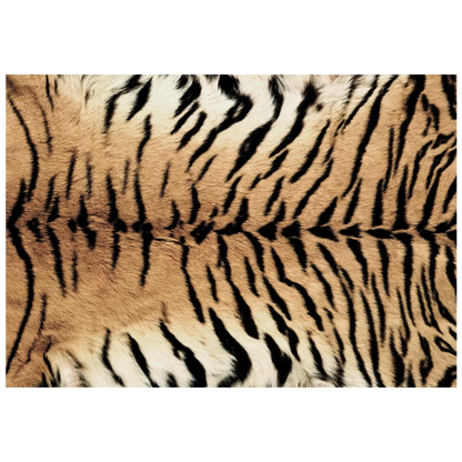 Nordic Zebra Pattern Fluffy Plush Non-Slip Area Rug