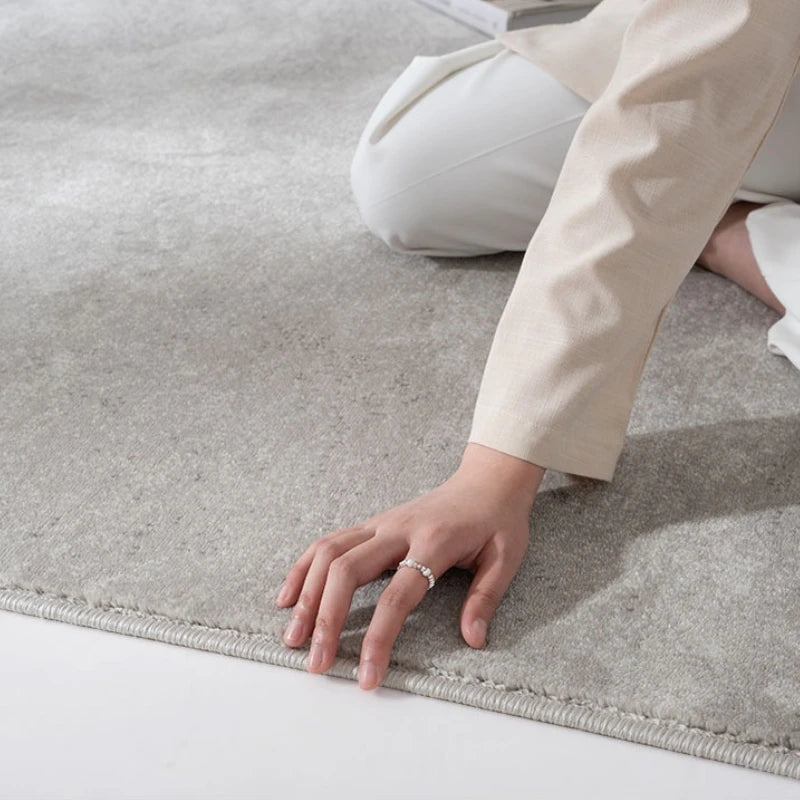 Modern Minimalist Grey Plush Washable Area Rug
